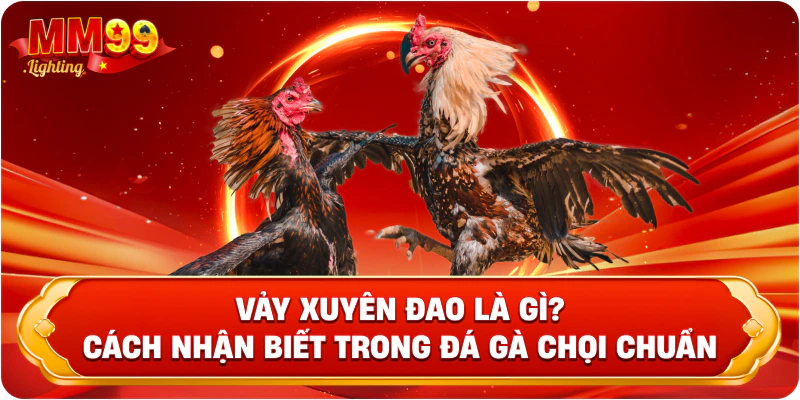 Vảy Xuyên Đao Là Gì? Cách Nhận Biết Trong Đá Gà Chọi Chuẩn